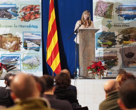 Imatge de la noticia La Ribera d’Ebre presenta el Pla de Reactivació Socioeconòmica  