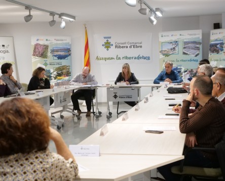 Imatge de la noticia El Consell Comarcal assessorarà ajuntament i empreses per impulsar la transició energètica a la Ribera