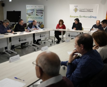 Imatge de la noticia El Consell Comarcal de la Ribera d’Ebre  seguirà prestant els serveis de l’Agència  d’Habitatge de Catalunya
