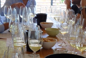 El nou vi de la Ribera d'Ebre serà un vi blanc jove, amb una base de macabeu, la varietat més arrelada a la comarca.